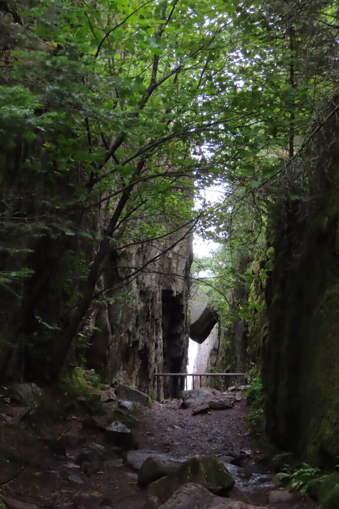 Rocky chasm topped with green foliage.