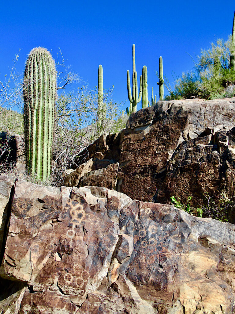Circular inscriptions on brown rock with saguaro cactus and blue sky behind.