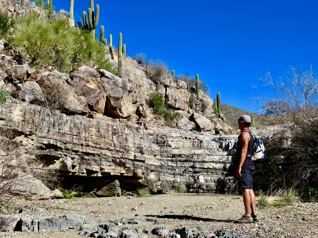 Male hiker in shorts and short sleeved shirt standing looking at canyon wall under blue sky.