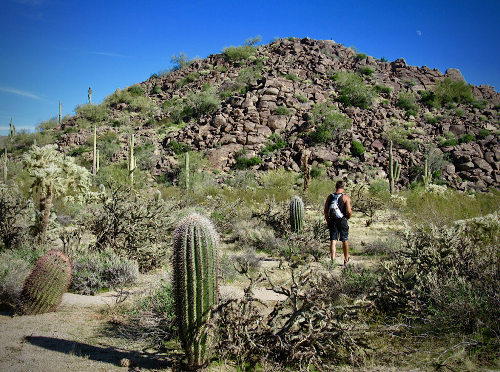 Man walking in thick cactus desert.