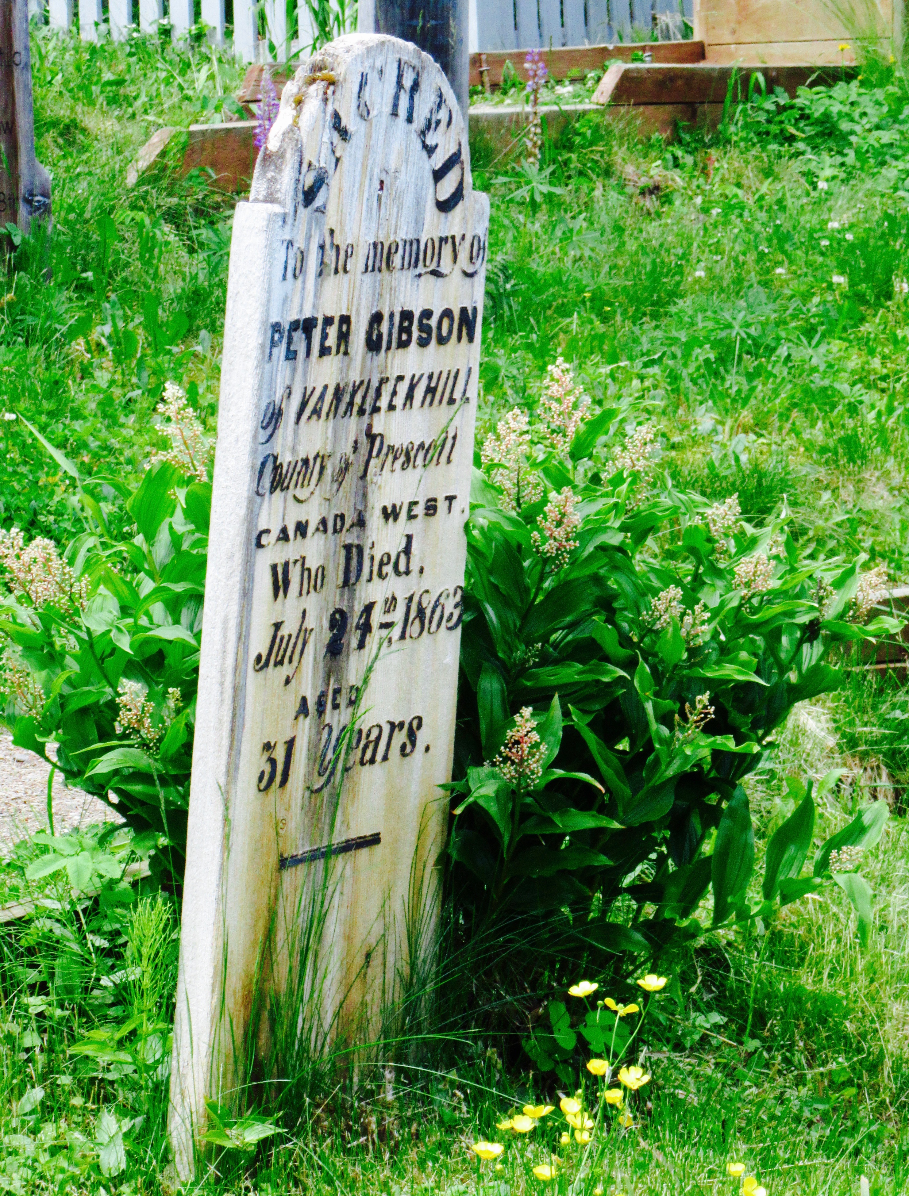 Wooden grave marker reading: Peter Gibson of Vankleekhill, County of Prescott, Canada West, who died July 24th 1863 aged 31 years.