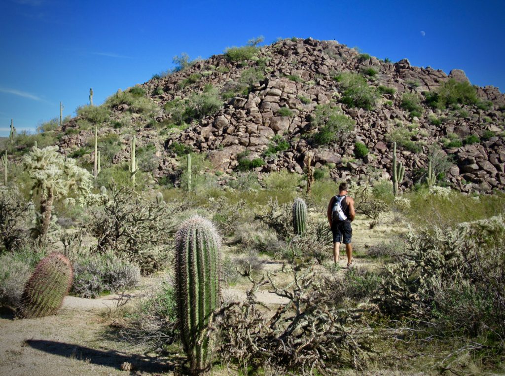 Man hiking through thick cactus towards jumbled rock hillside.