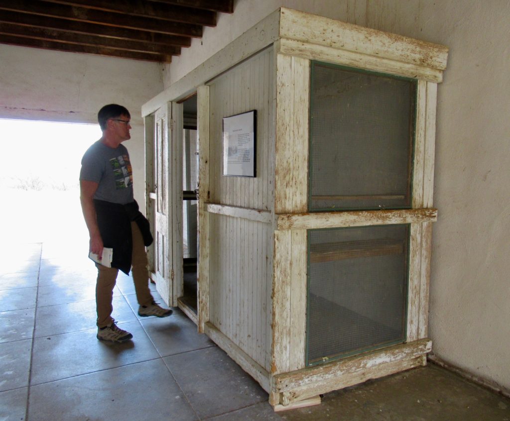 Man stands in breezeway looking into a tall wooden shed-like building with screens on both ends.