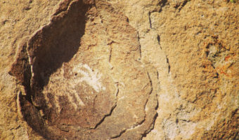 Petroglyph of a desert bighorn sheep carved in the bowl of a rock depression at Mount Irish Archaeological Site