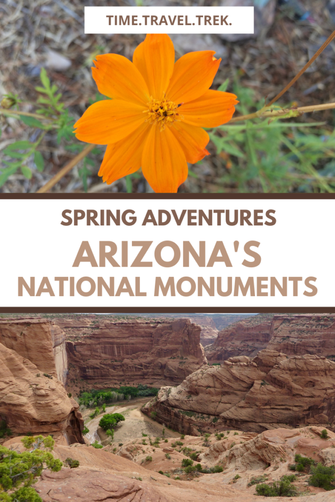 Pin image for Time.Travel.Trek. post with photo of orange wildflower on top and sandstone canyons on bottom and text in middle reading: Spring Adventures Arizona's National Monuments.