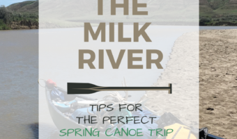 Pin image for Paddling the Milk River (tips for the perfect spring canoe trip in Alberta, Canada) blogpost from Time.Travel.Trek.