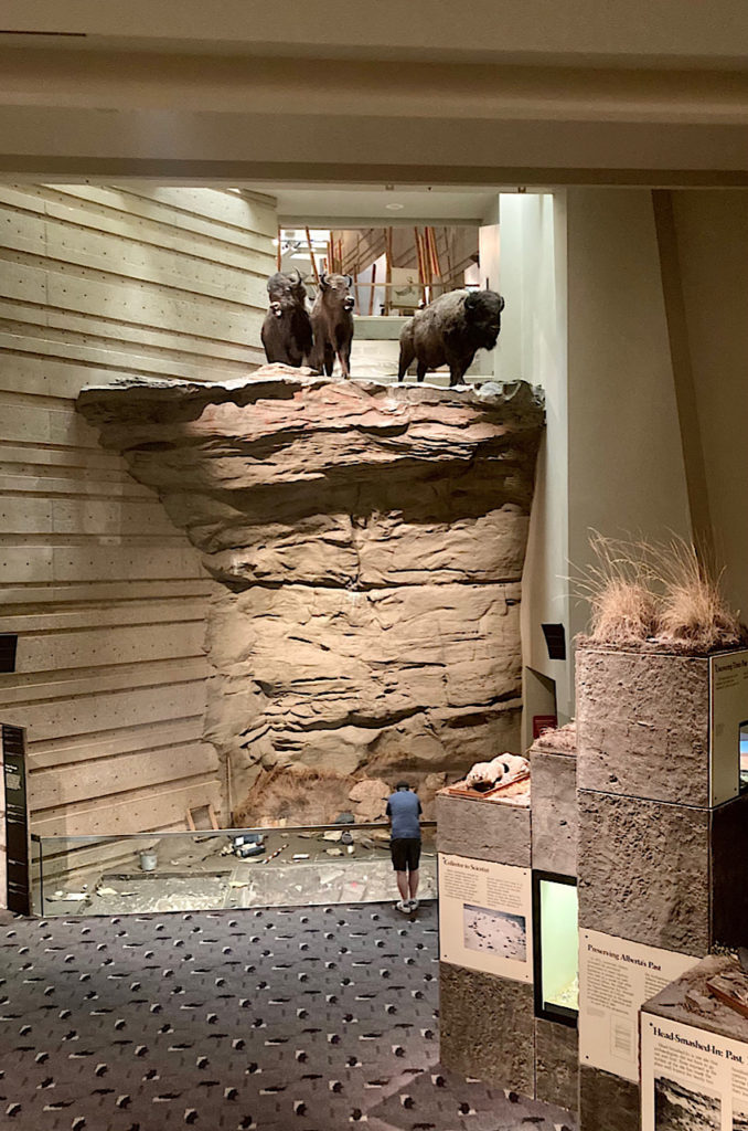 Three stuffed bison on cliff display in museum.