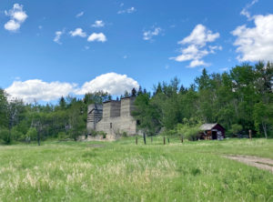 Grassy field, trees and blue sky with old concrete buildings and a wooden shed.