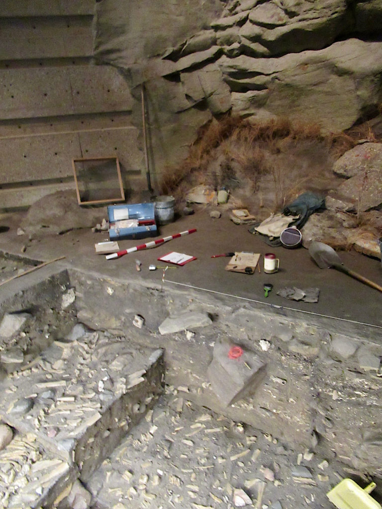 Replica of a bone bed archaeological dig with equipment spread out on flat surface above layers of the actual dig.