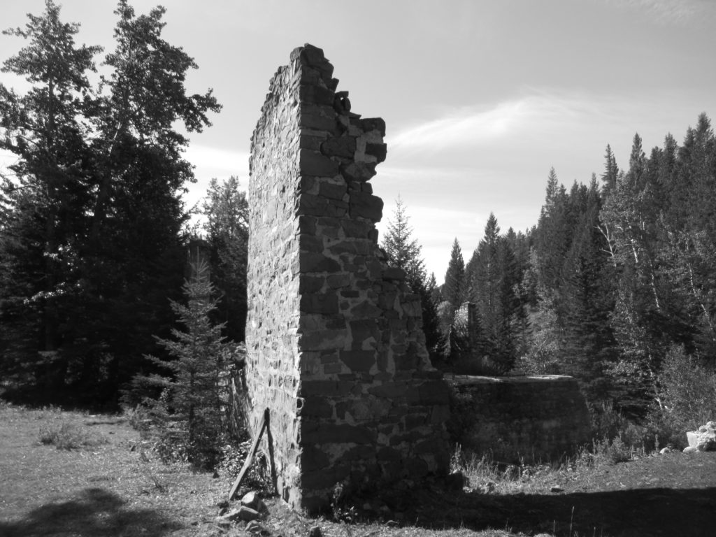 Black-and-white photo of remains of rock wall from large building in meadow surrrounded by forest.