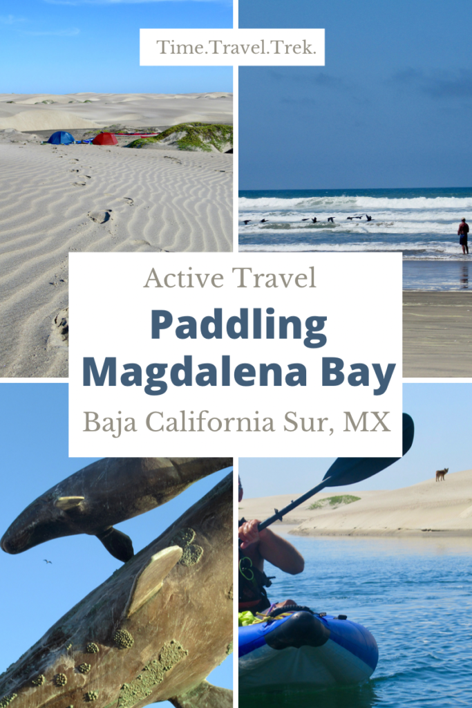 Pin Image for Time.Travel.Trek. post on paddling Magdalena Bay in Baja Mexico with four images behind text of whale sculpture, camp in sand dunes, Pacific Ocean waves and paddling calm waters.