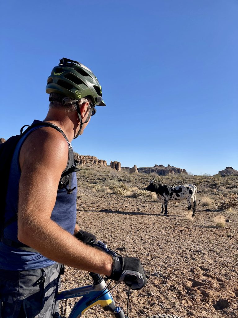 Man in foreground standing over his mountain bike looking out at a black and white cow in distance.