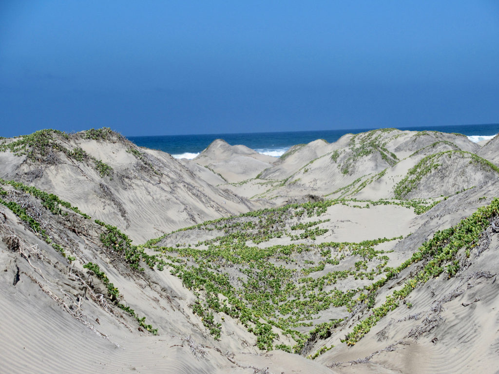 Sand dunes in front of distance waves.