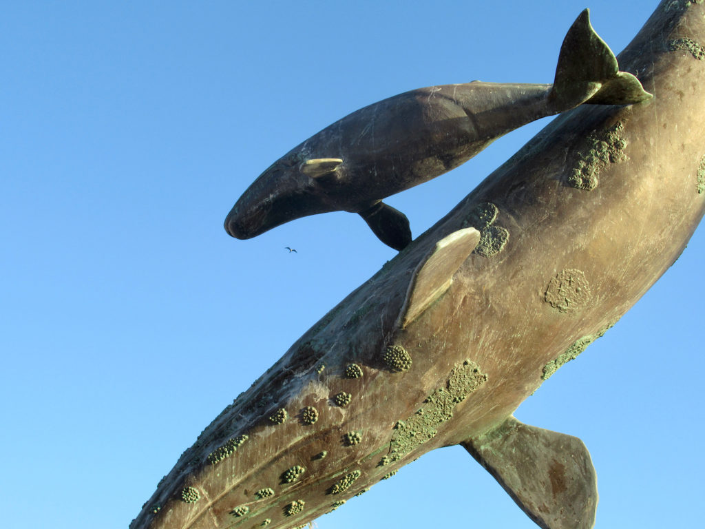 Cow and calf gray whale sculpture.