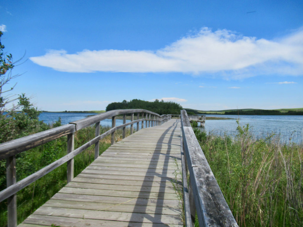Wooden boardwalk leading from shrubby shore to a treed island in the middle of a lake with blue sky overhead.