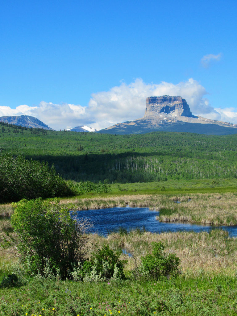Large blocky mountain in distance with treed slopes and a marshy wetland in foreground.