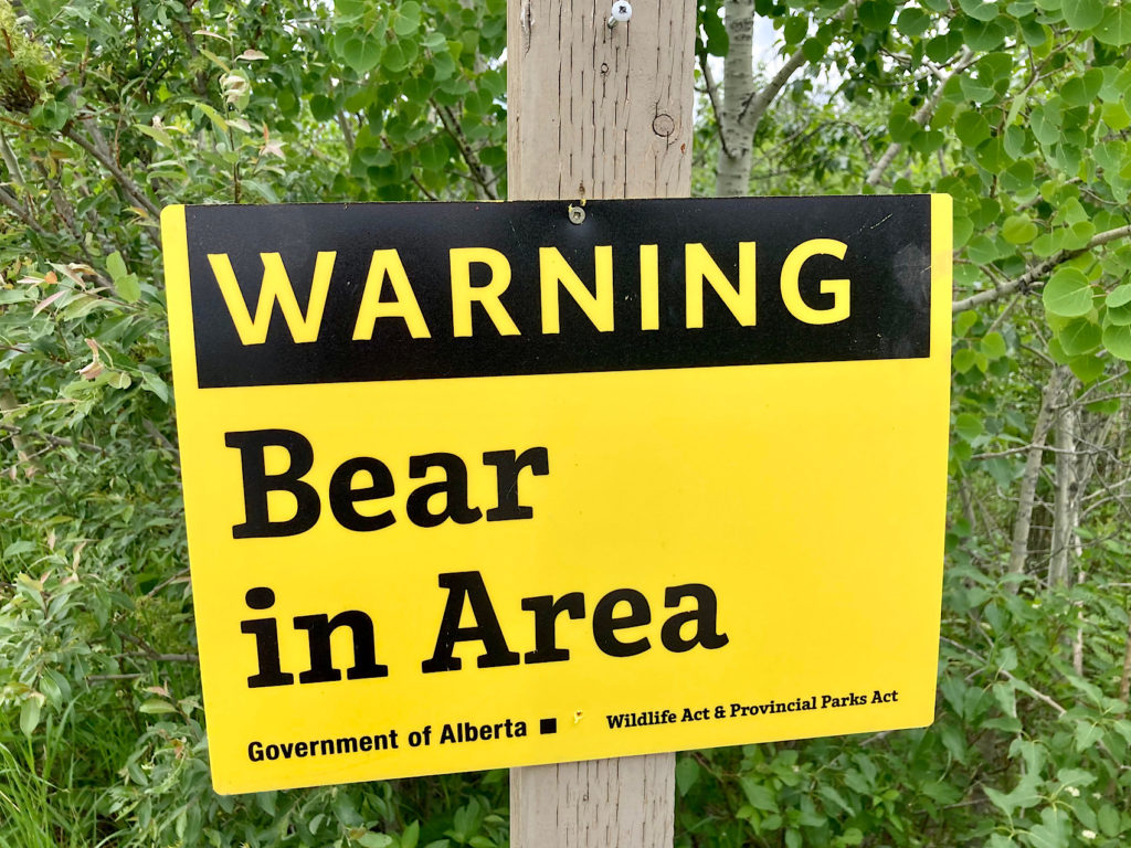 Black and yellow sign with words: Warning. Bear in Area. Government of Alberta. Wildlife Act & Provincial Parks Act.