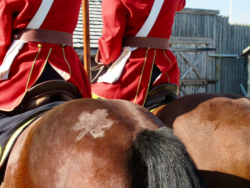 The backside of two brown horses inside a wooden fort with riders wearing red jackets, brown leather belts and a white satchel slung across their bodies.