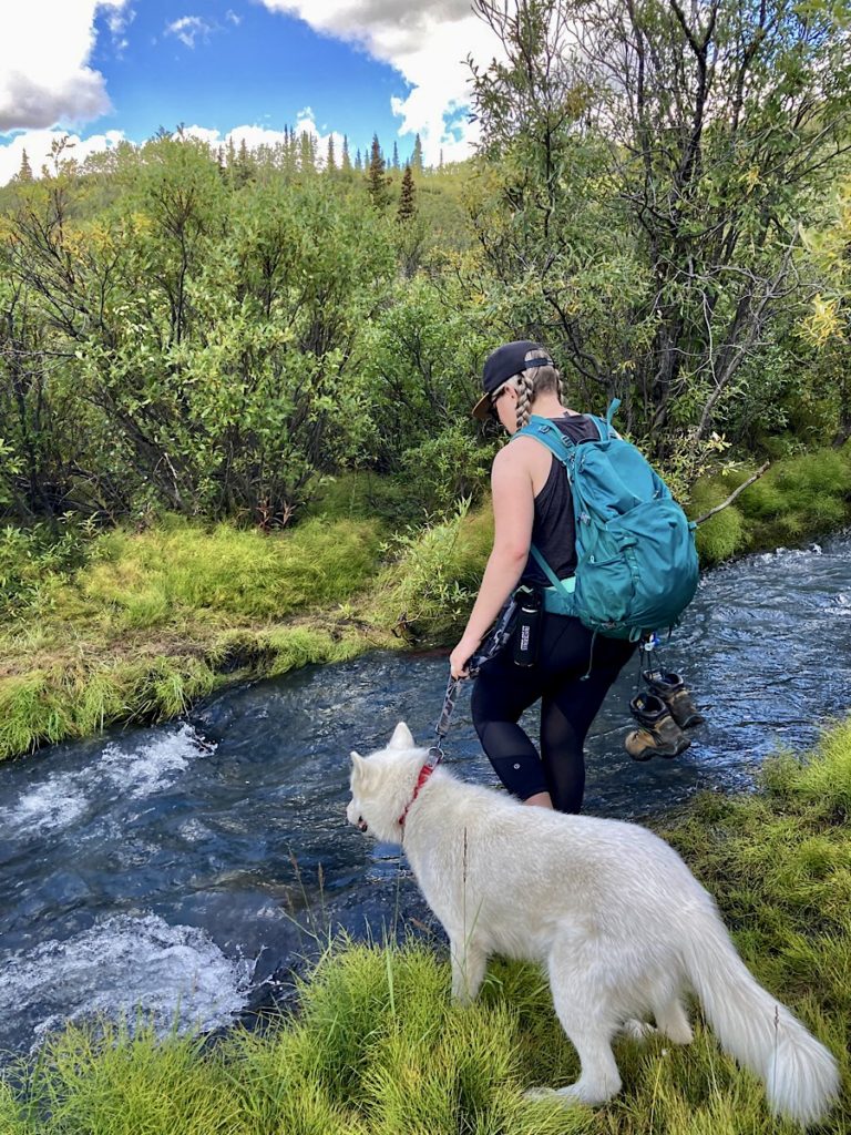 Woman in short sleeved black shirt and black leggings wearing a turquoise-coloured pack and holding leash of white husky preparing to cross small creek.