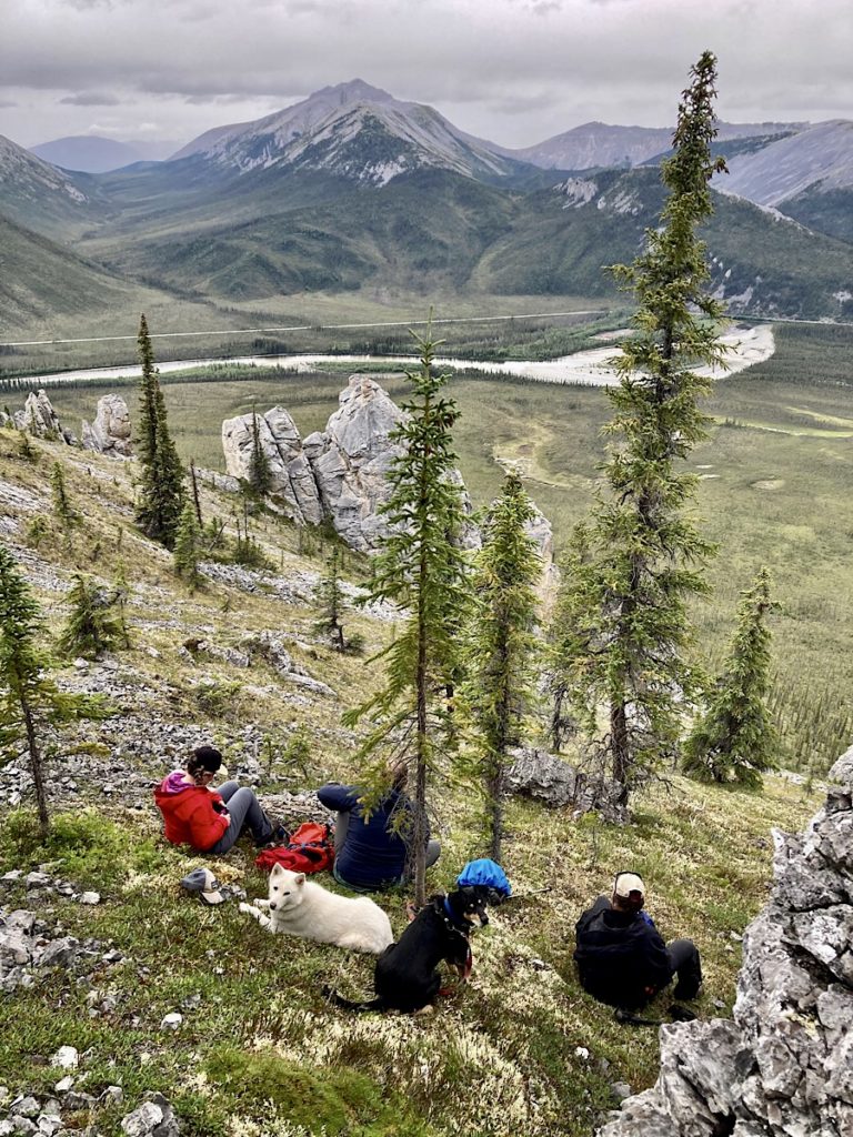 Three people and two dogs sitting on a grassy slope overlooking mountains and river in the valley bottom.