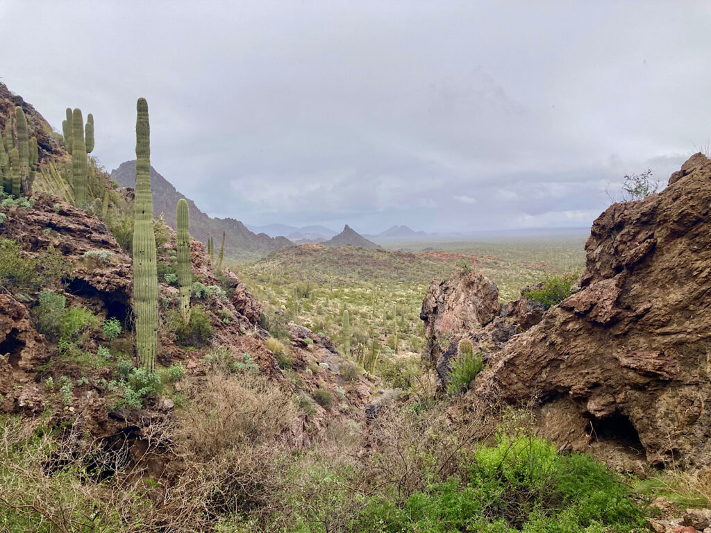 Desert mountains, valley and vegetation under cloudy sky.