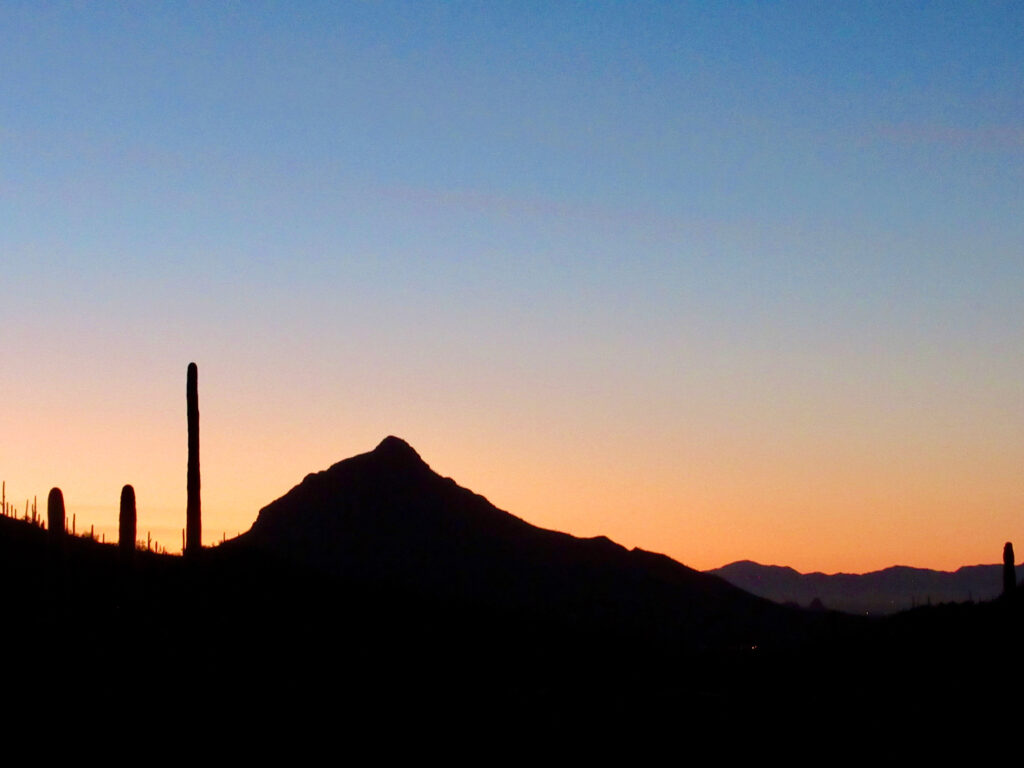 Sunrise with mountain and tall saguaro cactus silhouette.