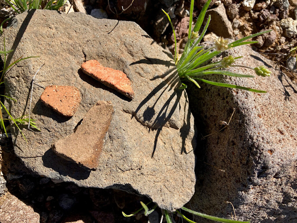 Three small fragments of reddish pottery laying on flat brown rock.