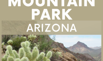 Pin Image for Outdoor Adventures in Tucson Mountain Park, Arizona with white lettering on beige background and image of cactus and mountains at bottom.