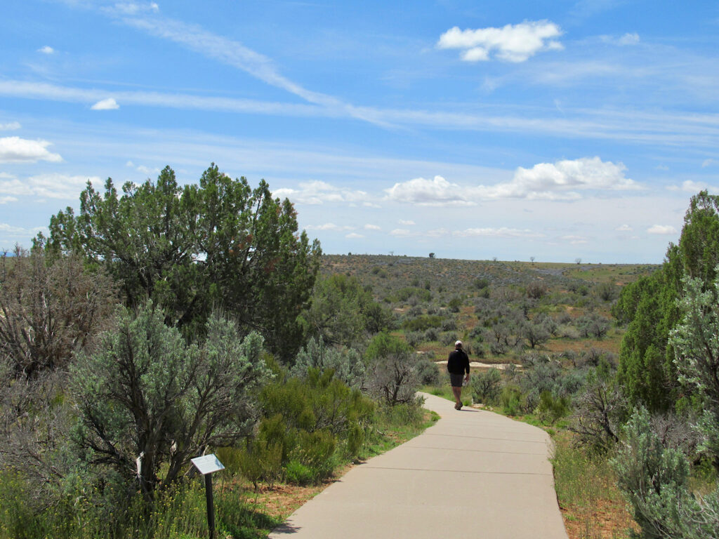 Man in long sleeve black top and shorts walking down wide concrete path with green shrubs on both sides.