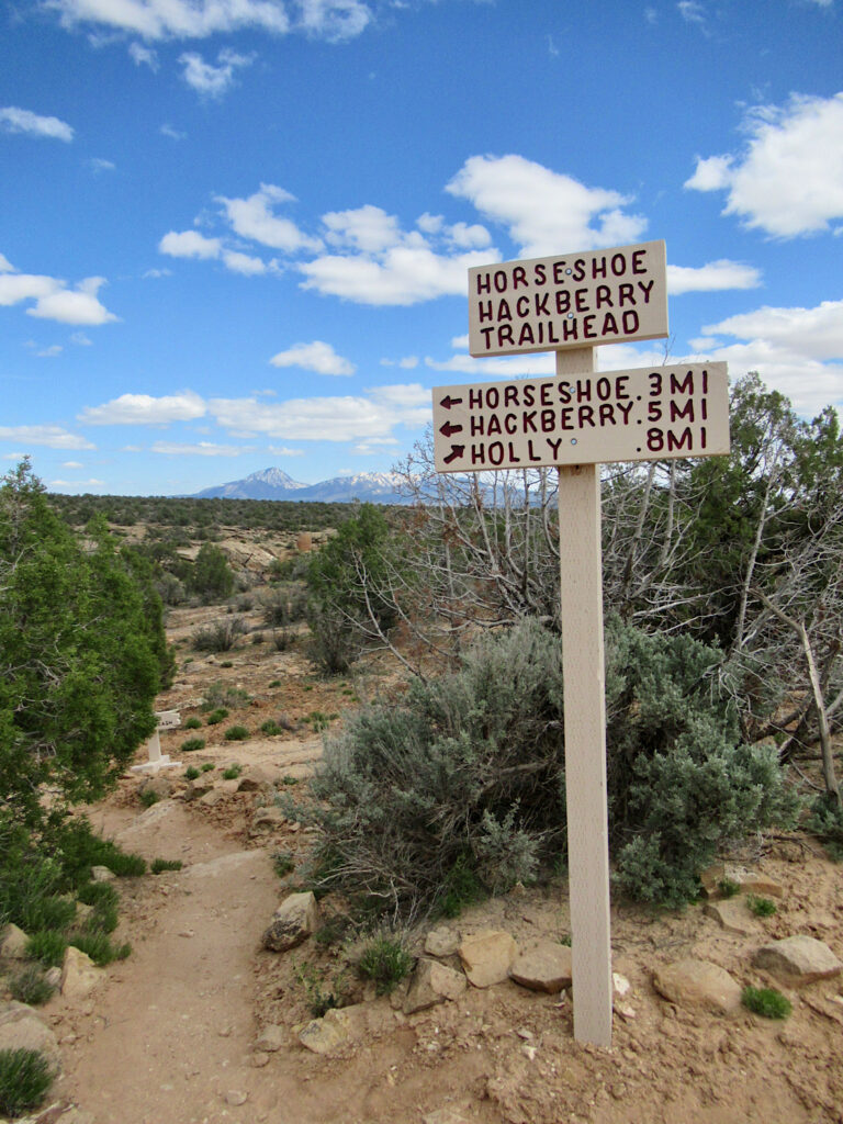 Wooden sign reading: Horseshoe Hackberry Trailhead on top with arrows pointing in direction of Horseshoe 0.3 mi, Hackberry, 0.5 mi, and Holly 0.8 mi.