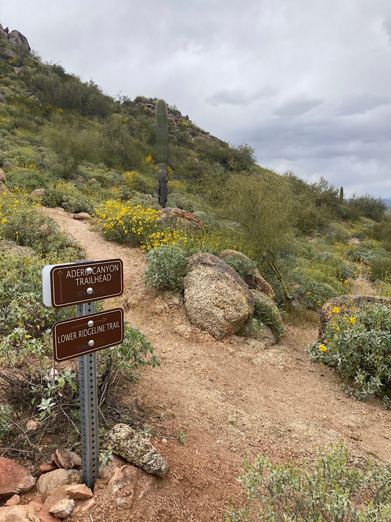 Trail sign for Adero Canyon in front of wide trail on hillside.