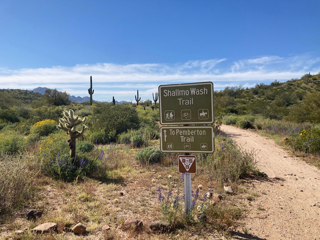 Trail sign reading: Shallmo Wash/To Pemberton Trail at trail junction in desert scrub.