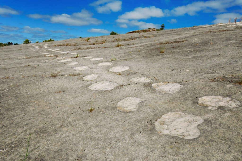 Large, pale-coloured depressions in rock slab leading off to horizon under blue sky.