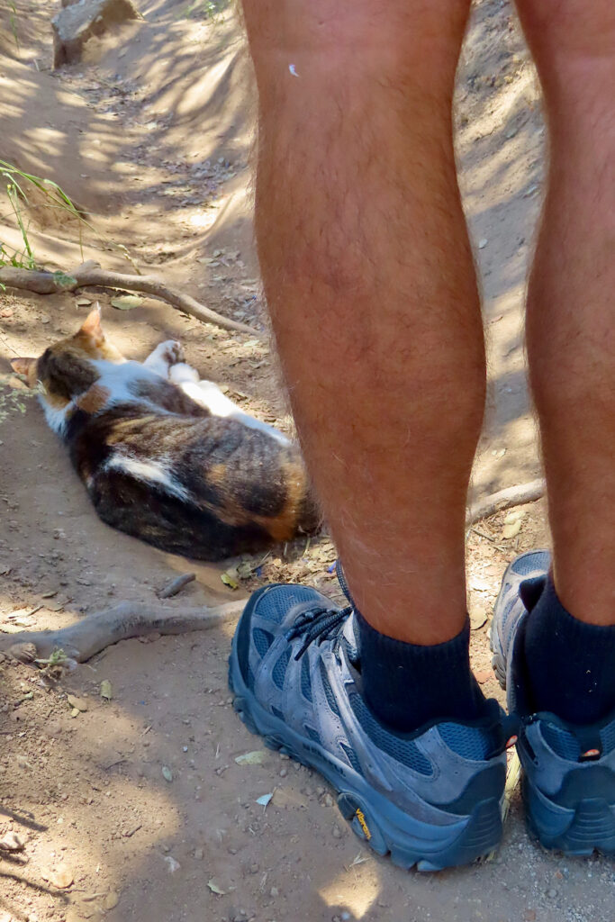 Cat laying in middle of dirt path with legs of hiker wearing trail shoes facing the cat. 