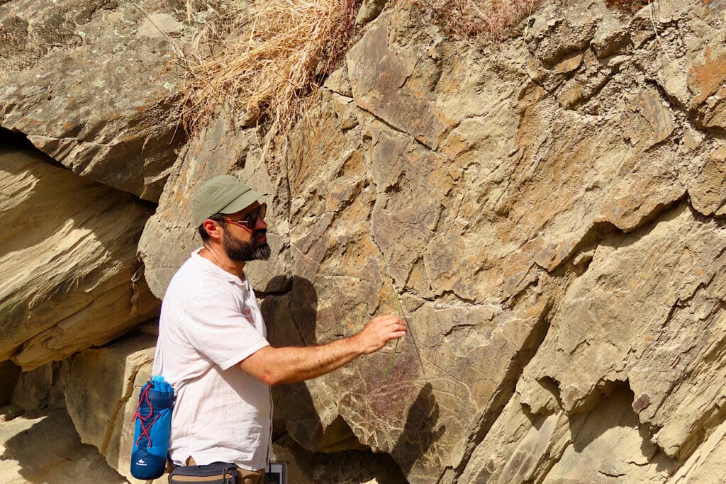 Man's hand holding green reed pointing at lines in greenish brown rock.