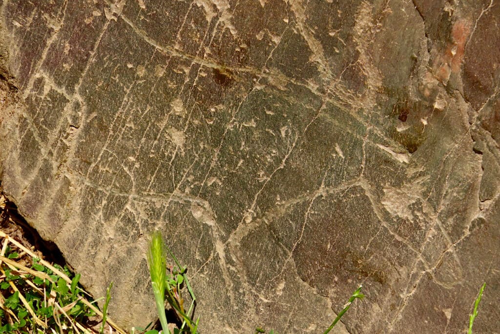 Brownish green rock with etched outline of a horse.