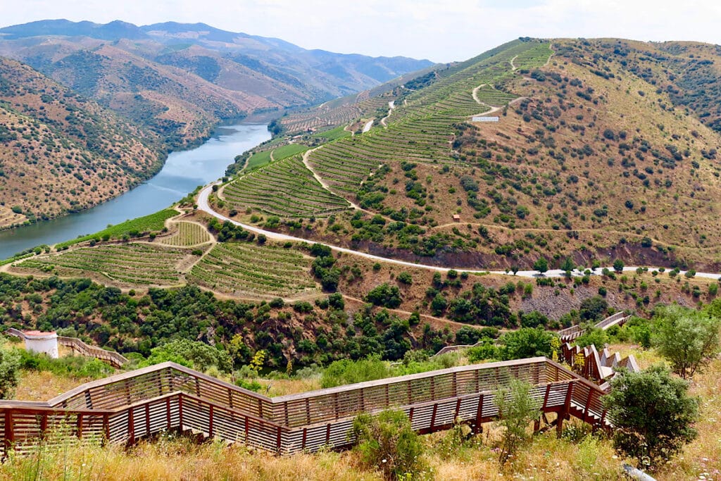 Wooden staircase snaking down hillside with vineyards in distance above a river.