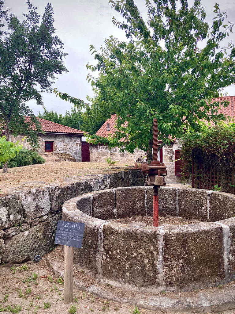 Circle of stones surrounding tree with stone buildings in background.