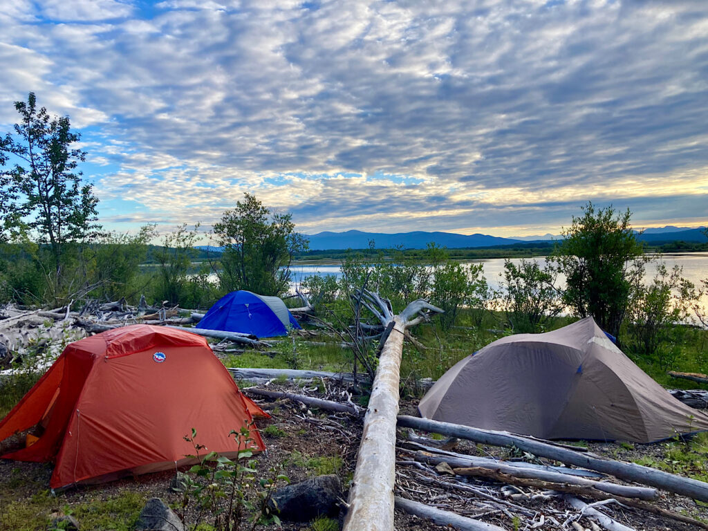 Orange, grey and blue tents set among bleached, fallen trees and stumps beside a lake.