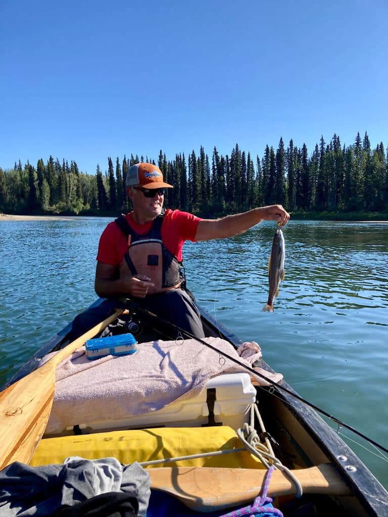 Man in red shirt and orange hat holding small fish to one side of loaded canoe in middle of river.