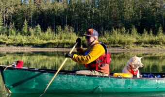 Woman in mustard yellow coat and red life jacket paddling in green canoe with white dog wearing a red life jacket seated behind her.