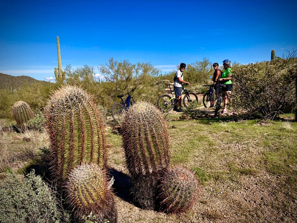 Large barrel cactus in foreground with 3 biker standing over their bikes in background.