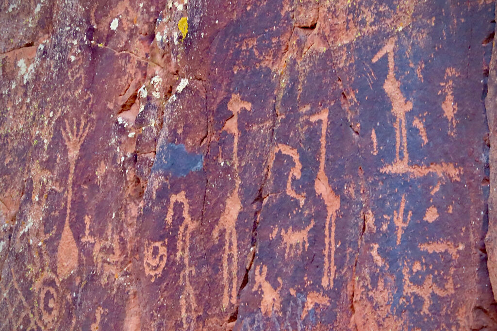 Rock art panel with images of two tall birds.