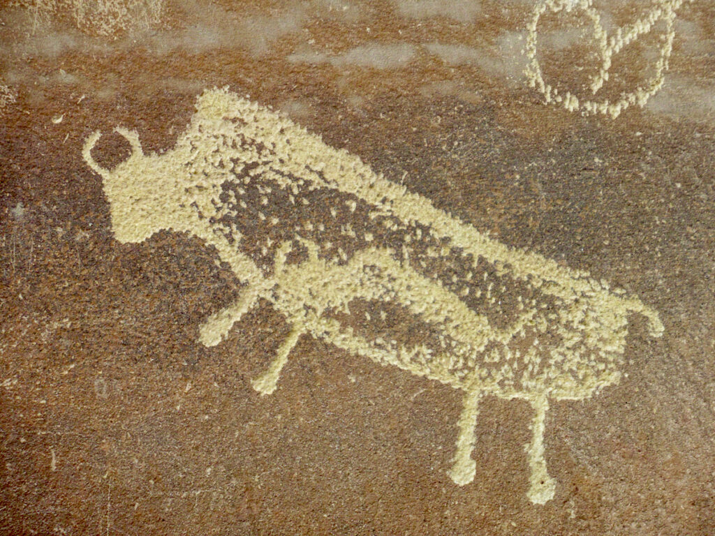 Rock art image of a buffalo with a smaller buffalo figure inside the stomach area.