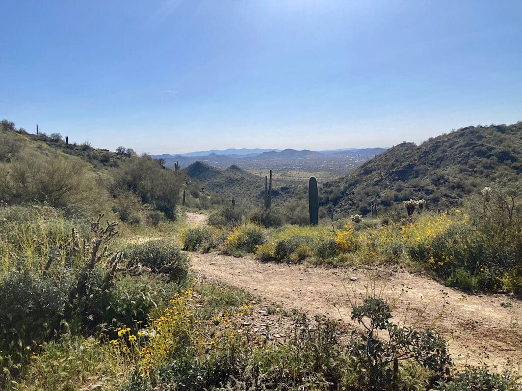 Dirt hiking path through rolling desert hills under blue sky.