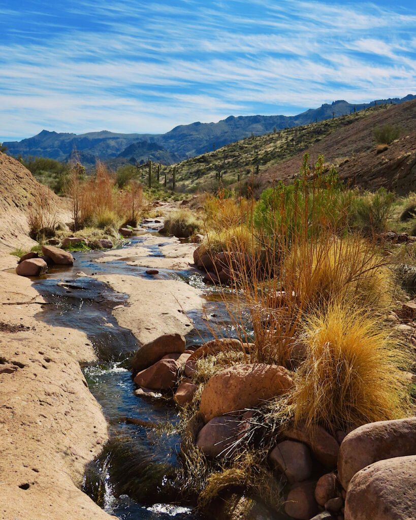 Small stream flowing across smooth brown rock with yellow bunches of grasses on edge under blue sky.
