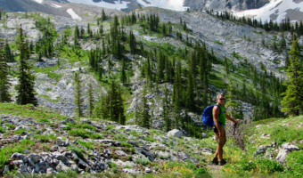 Pin image for TimeTravelTrek.com post reading: "Travel Adventures Hiking in the Crowsnest Pass: The Promised Land." Text over image of man hiking in green alpine meadow with snow patches on grey mountains behind.