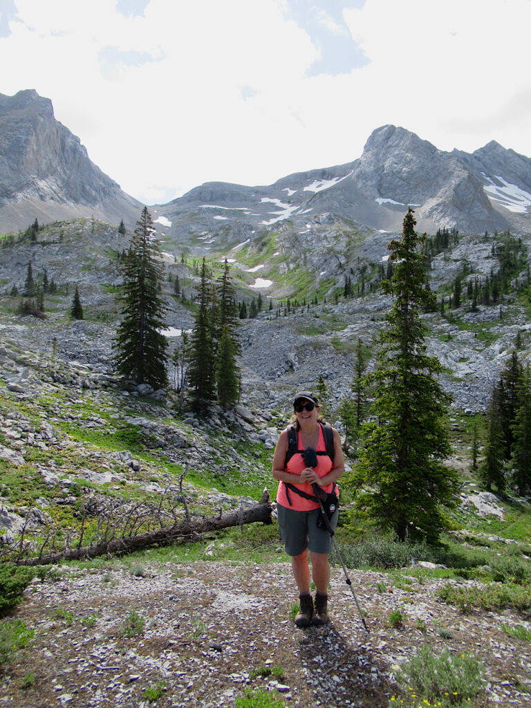 Woman hiker in pink short sleeve top and dark shorts standing on grave area with alpine meadows and jagged grey peaks behind.