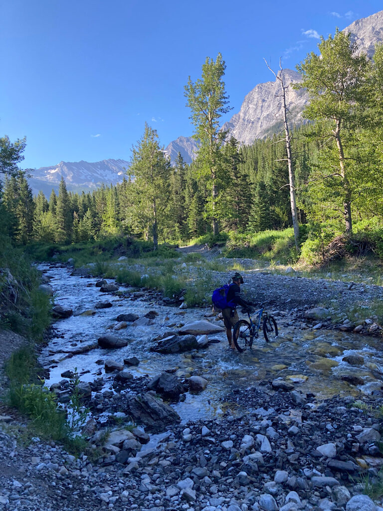 Man pushing mountain bike through rocky creek with evergreen trees and mountain on other side in distance.