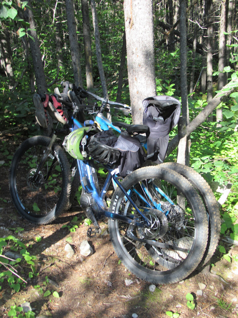 Two bikes and helmets locked again a tree in the forest.